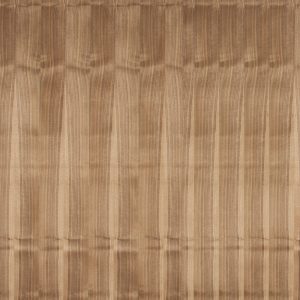 Walnut Walnut